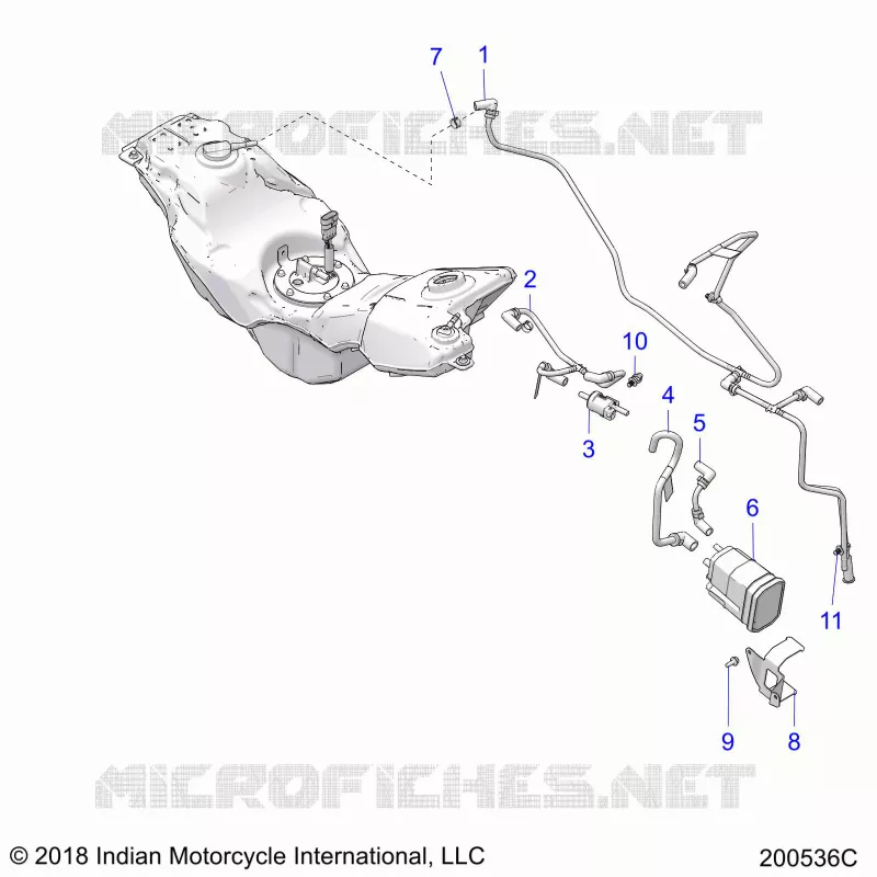 TREIBSTOFF LINES AND CANISTER (EVAP)