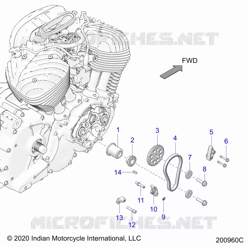 CAM CHAIN AND SPROCKETS