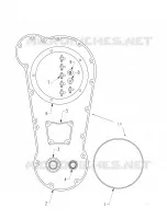ENGINE, PRIMARY GASKET AND SEAL KIT - N121C/V/D ALL OPTIONS (INDIANGASKETKITPR12CC)