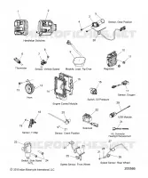 ELEKTRIC, COMPONENTS