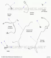 ELEKTRIC, HARNESS/JUMPERS