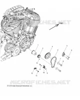 CAM CHAIN AND SPROCKETS
