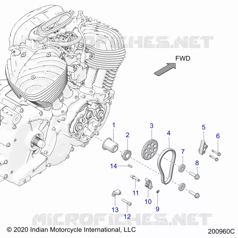 CAM CHAIN AND SPROCKETS