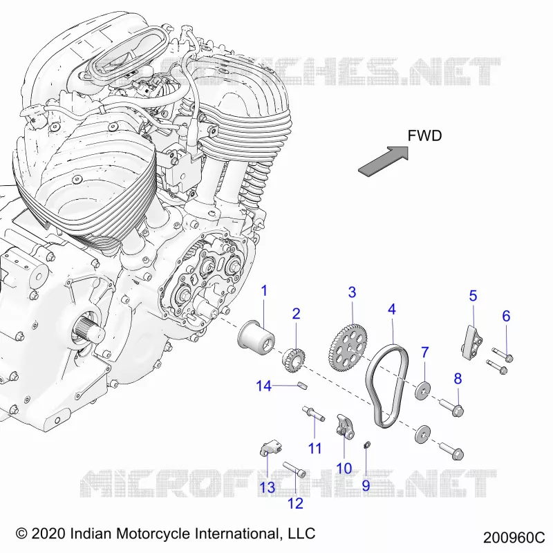CAM CHAIN AND SPROCKETS